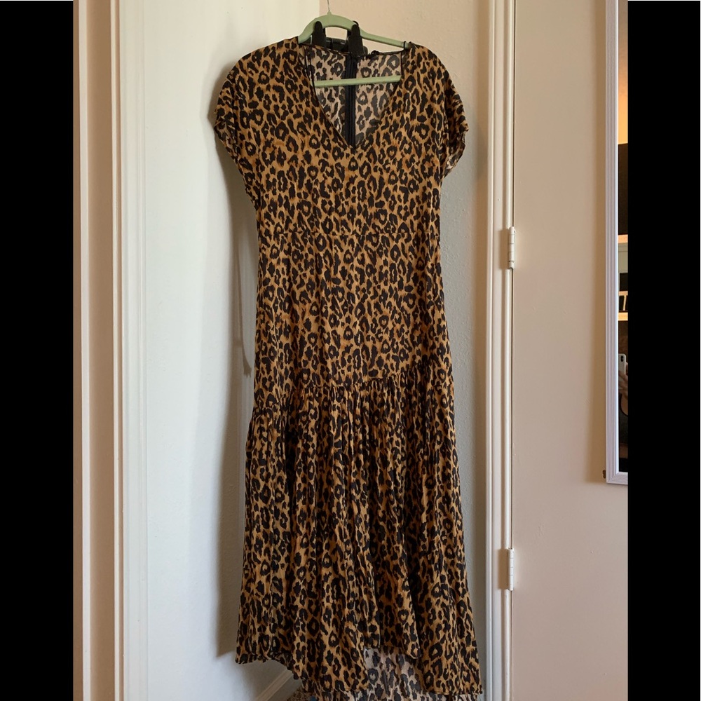 Brand new leopard summary address